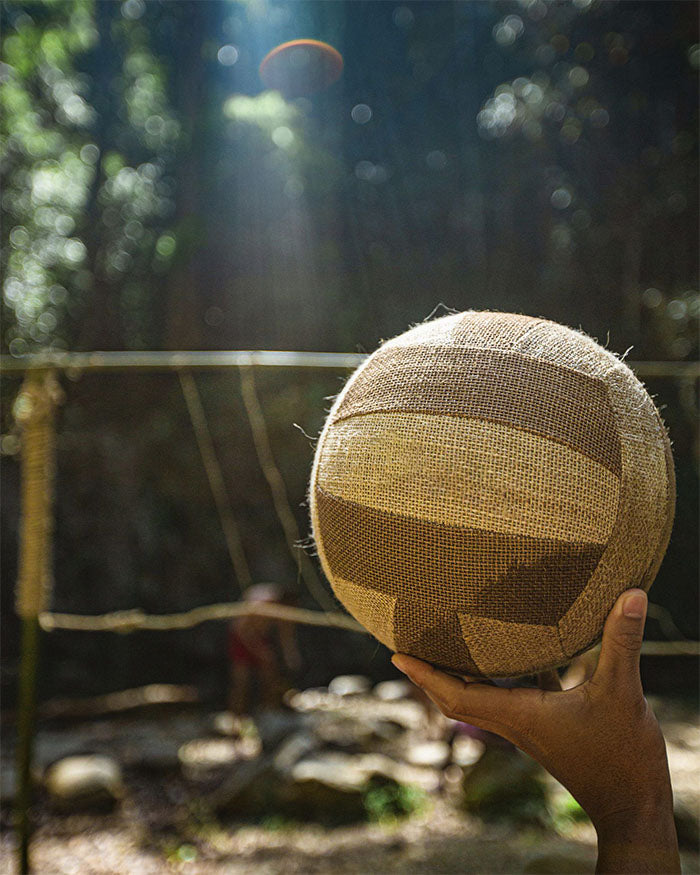 Volleyball Plantmade